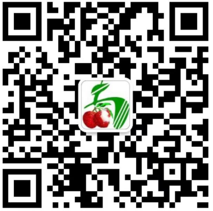 南山荔枝，深圳南荔農(nóng)業(yè)荔枝園直銷(xiāo)-質(zhì)保優(yōu)放心選購(gòu)
